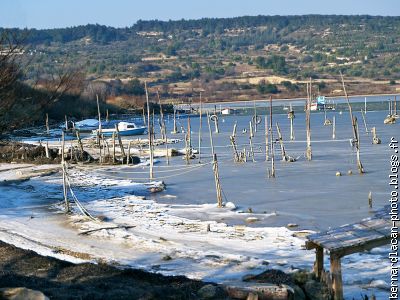 Enchevêtrement de piquets
