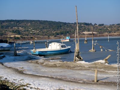 Tout n'est pas gelé